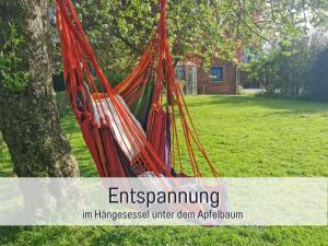 a hammock tied to a tree in a yard at Ferienwohnung Lichtinsel - strandnah, ebenerdig, haustierfreundlich, Terrasse und Garten, viel Platz in Steinberg