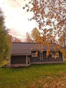 a house with a ladder on the front of it at Willa Mäntyniemi in Impiö +43 photos