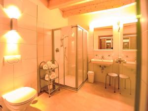 a bathroom with a shower and a toilet and a sink at Studio Alpelux-2 by Interhome in Jerzens