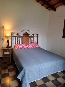 a bedroom with a bed with a blue blanket and a lamp at Casa Encarnación in Encarnación +2 photos