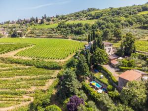 an aerial view of a vineyard and a house in the middle of a hill at Holiday Home Ridaldi by Interhome in Lamole +61 photos