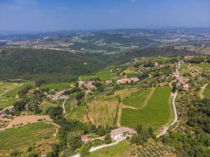 an aerial view of a vineyard in the hills at Holiday Home Ridaldi by Interhome in Lamole