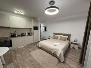 Køkken eller tekøkken på The View Studio Busteni