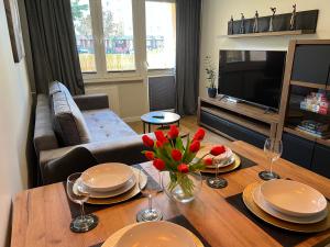 TV a/nebo společenská místnost v ubytování Apartament Centrum Szczecinek - f-vat
