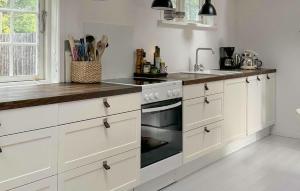 Η κουζίνα ή μικρή κουζίνα στο Stunning Home In Græsted With Wifi