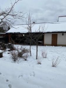 a house with snow on the ground in front of it at Pieniny Comfort in Krościenko +12 photos
