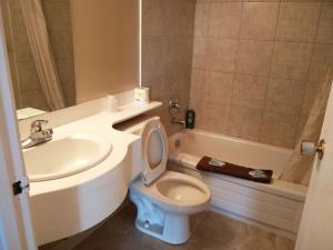 a bathroom with a toilet and a sink at Alaskan Motel in Fox Creek +29 photos
