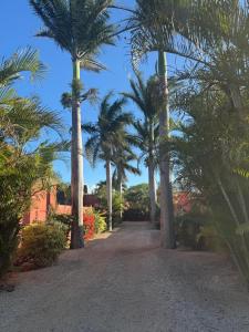 a row of palm trees on a dirt road at Villa Coco Chic - Piscine privée - Paradis Tropical in Pointe aux Piments