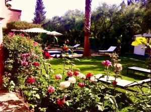 Κήπος έξω από το Villa Aalama