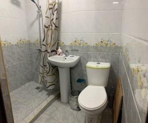 a bathroom with a toilet and a sink and a shower at Caravan Hostel in Tashkent International Airport