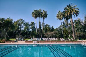 a swimming pool with palm trees in the background at Sheraton Pilar Hotel & Convention Center in Pilar