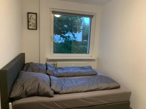 two beds in a room with a window at MyCha Ferienwohnung in Goslar