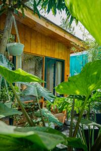 a house with a bunch of plants in front of it at Mango Eco Cabin by Banana Farm in Nkoanrua