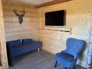 a room with a couch and a tv and a chair at Chalet Gaby - chalet atypique avec SPA in Xonrupt-Longemer +7 photos