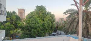 widok na miasto z palmami i budynek w obiekcie Nasser Nubian Guest House w mieście Jazīrat Aswān