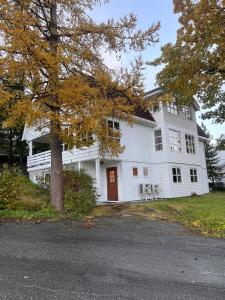 a white house with a tree in front of it at Charming and spacious wooden house right in the city centre in Tromsø +43 photos