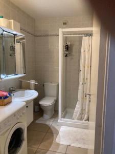 a bathroom with a shower and a toilet and a sink at PALMERAIE 317-climatisation-plage et commerces à pieds in Sari Solenzara +4 photos