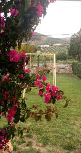 Сад в Verdalia Private Holiday House