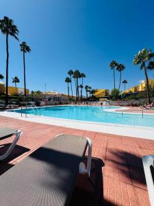 a large swimming pool with palm trees in the background at Bungalow Casita in Maspalomas