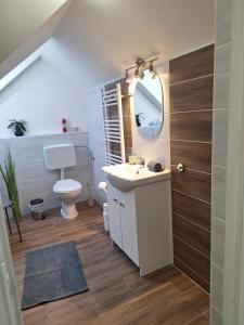 a bathroom with a sink and a mirror and a toilet at Várfal apartman I in Eger +47 photos