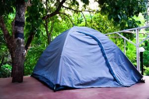 Zahrada ubytování Dandeli Green Adventure Resort