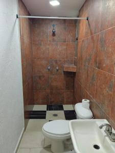 a bathroom with a shower and a toilet and a sink at Entire apartment on Av Tollocan in Toluca