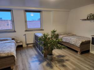 a bedroom with two beds and a potted plant at 2 OG Ferienhaus Susanne in Heinsberg