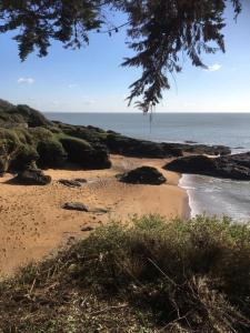 Phong cảnh thiên nhiên gần căn hộ