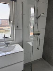 a bathroom with a shower and a sink at De Maasterp - woonboot 14 in Montfort
