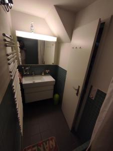 un piccolo bagno con lavandino e specchio di Switzerland New Year's Eve in a cozy little town a Lenk