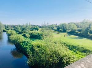 an aerial view of a river with trees and a field at 1 Bed Flat - Sleeps 2 - Pets - Parking - Garden in Eglinton +3 photos