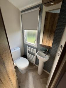 a small bathroom with a toilet and a sink at Luxury mini lodge with hot tub and decking at Tattershall Lakes in Tattershall