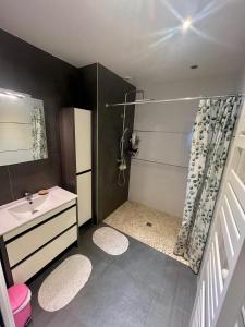 a small bathroom with a sink and a shower at Appartement Cosy & Confort - Jardin in La Wantzenau