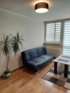 a black couch in a living room with a table at Apartament 59 , ranczoturystyka Bielawa Sudety in Bielawa
