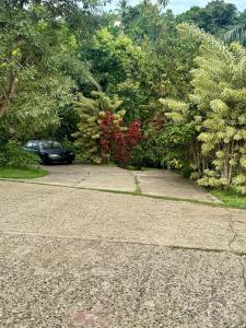 Imagen de la galería de Vive el encanto del campo, en Cidra