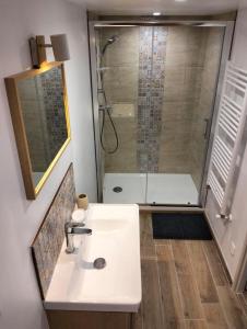 a bathroom with a sink and a shower at Ideal apartment with all confort in Ormes