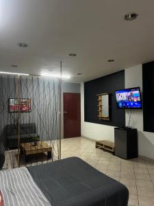 Μια τηλεόραση ή/και κέντρο ψυχαγωγίας στο Departamento en el corazón de Zamora, a 2 cuadras del Santuario Guadalupano