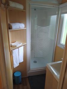 Boofzheimにあるchez regis et jenniferのバスルーム(ガラス張りのシャワー付)が備わります。