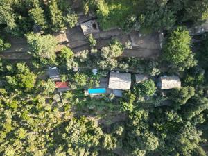 Příroda nedaleko vily