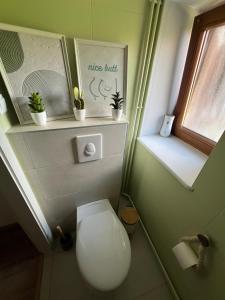een badkamer met een toilet en planten op een plank bij L'Appart De Papa in Saverne