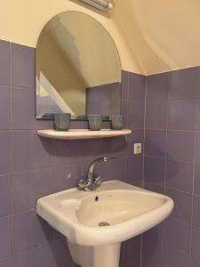 a bathroom with a sink and a mirror at Vakantiehuis Joghmanstuin in Kapel-Avezaath