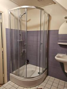 a shower in a bathroom with purple tiles at Vakantiehuis Joghmanstuin in Kapel-Avezaath