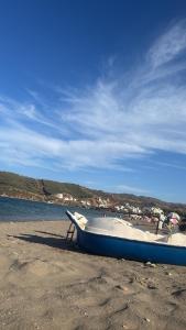 Φυσικό τοπίο κοντά σε αυτό το διαμέρισμα +87 φωτογραφίες