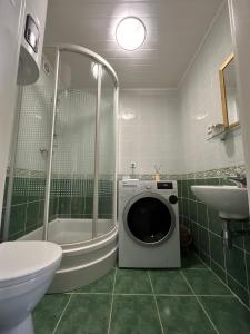 a bathroom with a washing machine and a sink at Atgaiva in Palanga