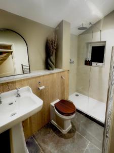 ein Badezimmer mit Waschbecken, Toilette und Dusche in der Unterkunft Well Cottage, Thames St in Charlbury