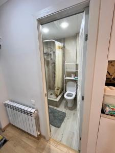 Un pequeño baño con inodoro y ducha. en Okie-Dokie, en Dilijan