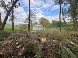 a field with a rock and trees and a barn at Jurta Lilly in Volenice