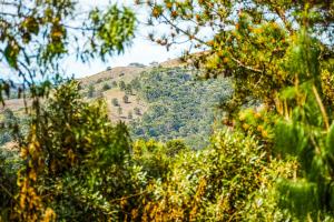 vistas a una montaña a través de los árboles en VELINN Pousada Villa Paty II, en Campos do Jordão