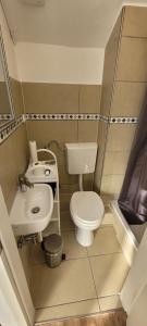 a small bathroom with a toilet and a sink at 1 Zimmer-Appartment in Wiesbaden