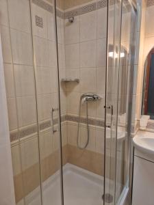 a shower with a glass door in a bathroom at Apartament z tarasem Zeta Park in Ustroń